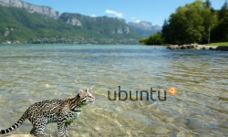 Ubuntu 11.10 Oneiric Ocelot